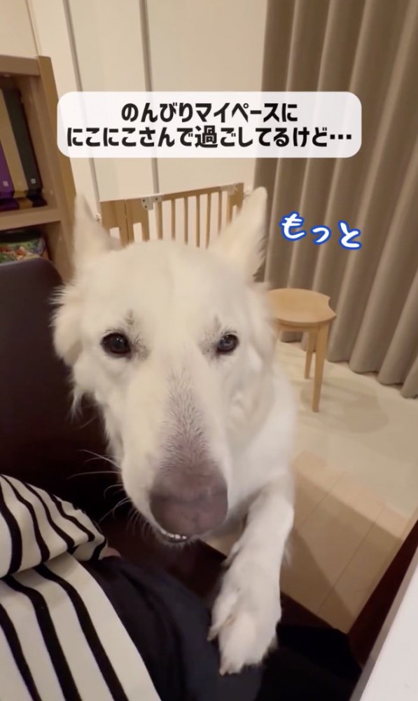 止めないでー