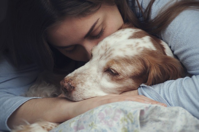 愛犬への愛情