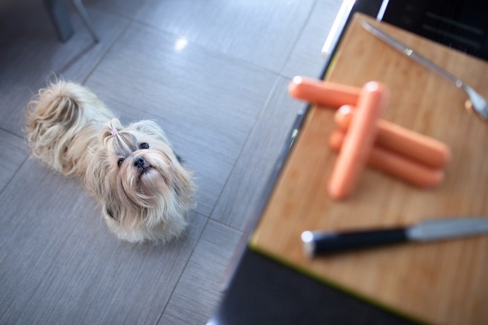 まな板の上の食材を見る犬