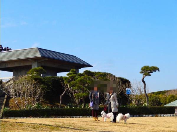 犬2匹と飼い主2人