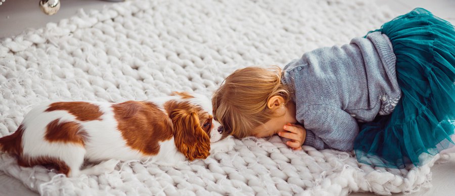 部屋で一緒に遊ぶ犬と子供