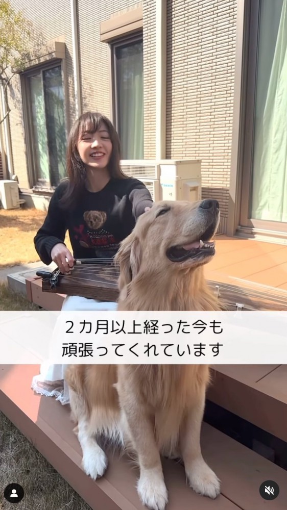 琴を弾く女性と大型犬