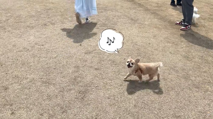 ご機嫌で遊んでいます♪