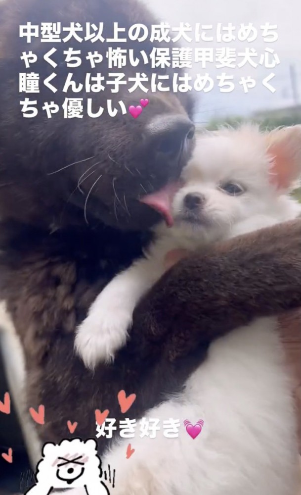 優しくハグ→ペロペロ