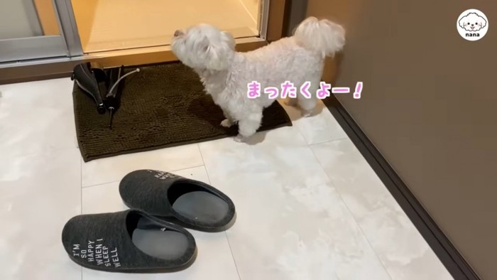 ナナちゃん二度目のブチギレ