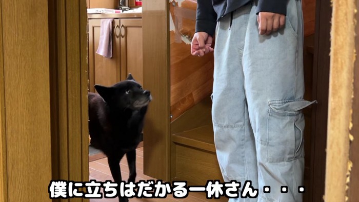 「パパは行っちゃだめ！」