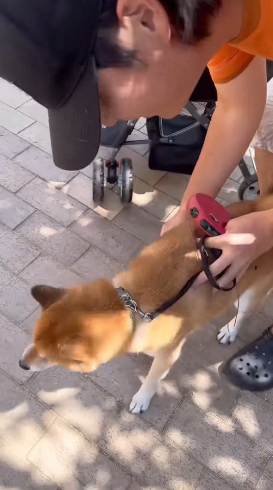 カートから降ろしたら…