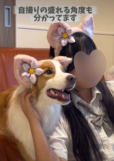 本当の女子高生のよう