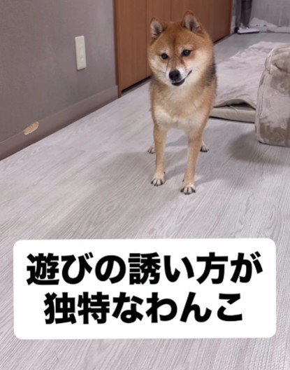 遊びに誘うとき