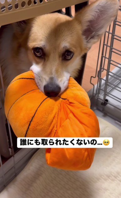 絶対に離さない…！