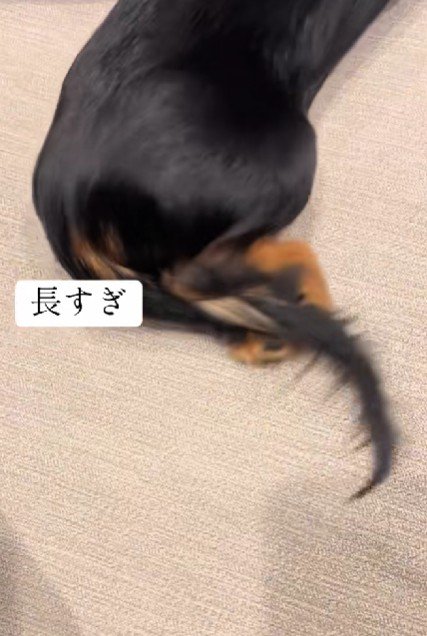 寒くて足を縮める一幕も