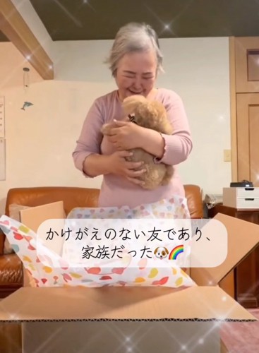 ぬいぐるみを見つめるおばあさん