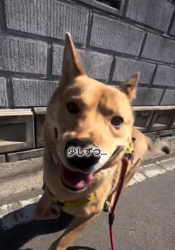 笑顔のあい君