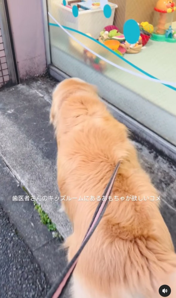 キッズルームへ向かう大型犬