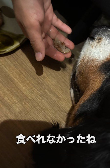 食べられなくなって…