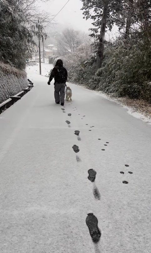 初雪ではしゃぎすぎた結果2