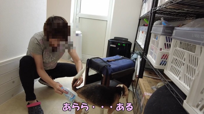 チェックしたら…出ている！