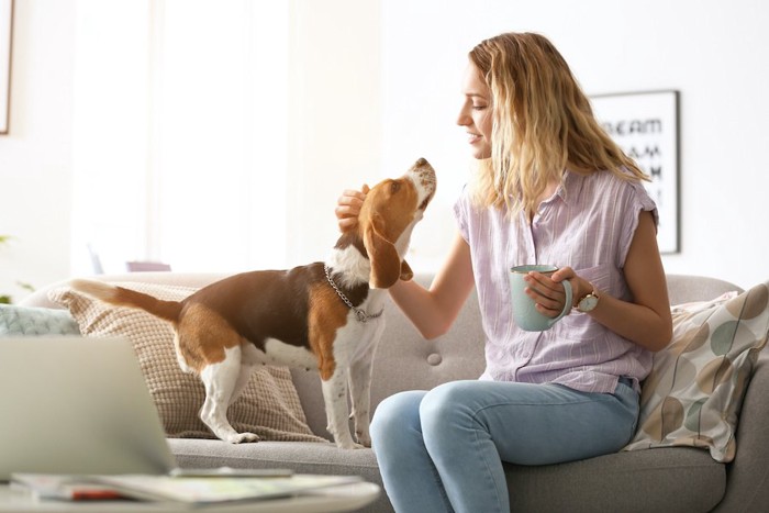 カップを持ちながら犬と触れ合う女性