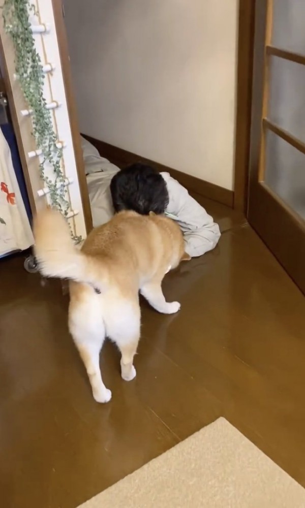 ラブラブ…
