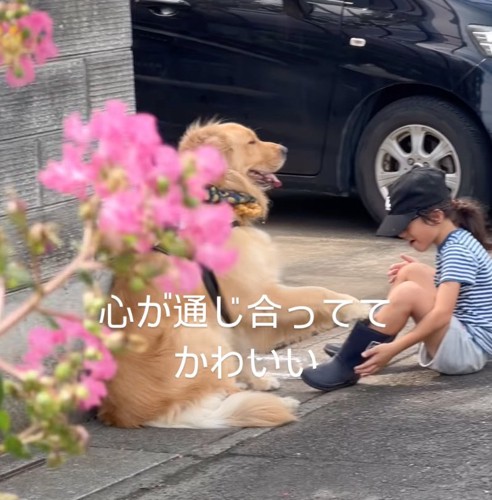 前足を差し出す大型犬