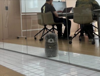 シゴデキ