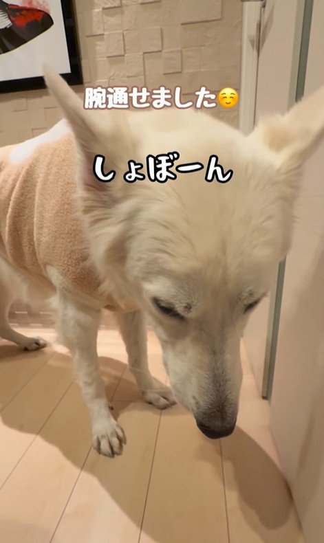 れお君の表情の変化3