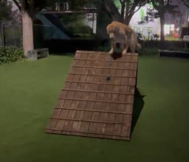 コロコロ