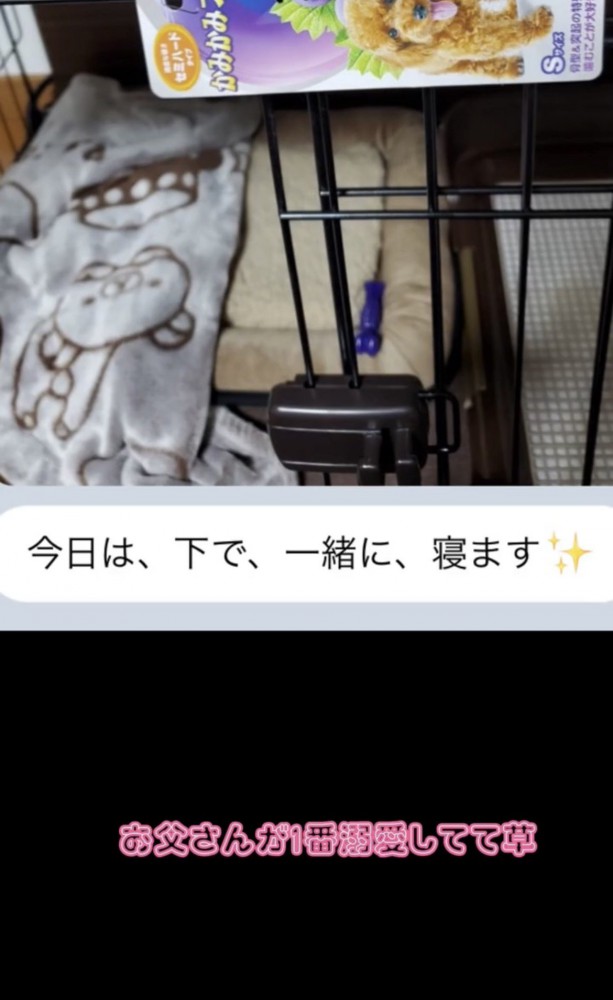 寝床とメッセージ画面