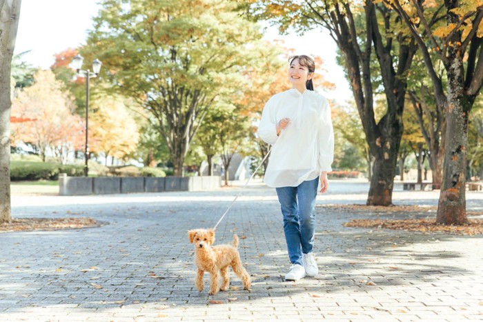 公園を散歩する女性と犬