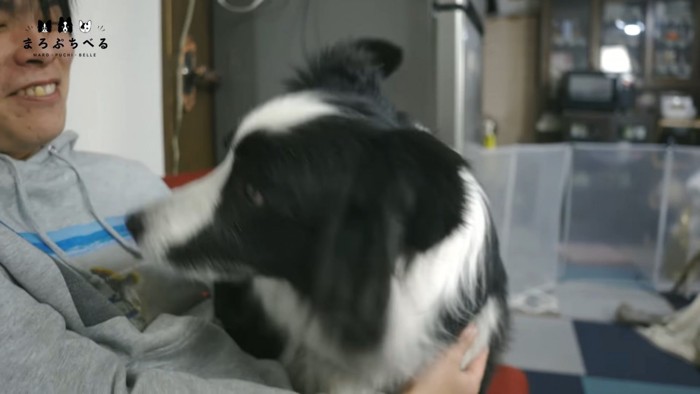 男性の方を向く犬