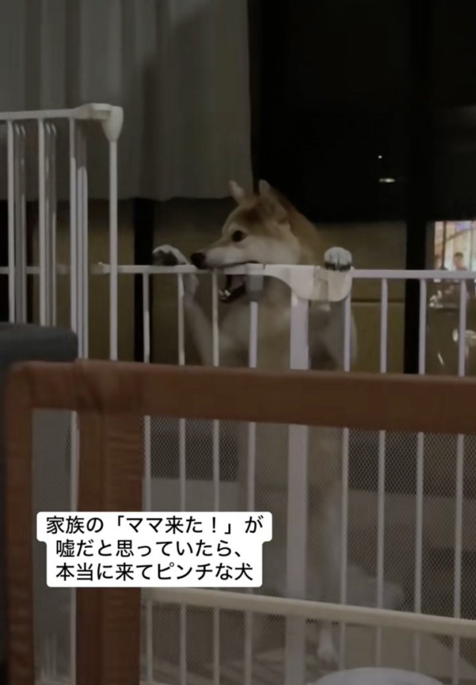 絶賛イタズラ中。