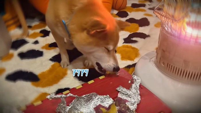 「できたてホカホカで美味しい～♪」