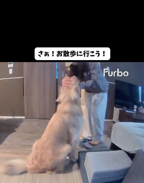 犬の頭を撫でる飼い主