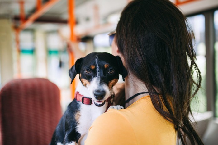 女性の後姿と犬