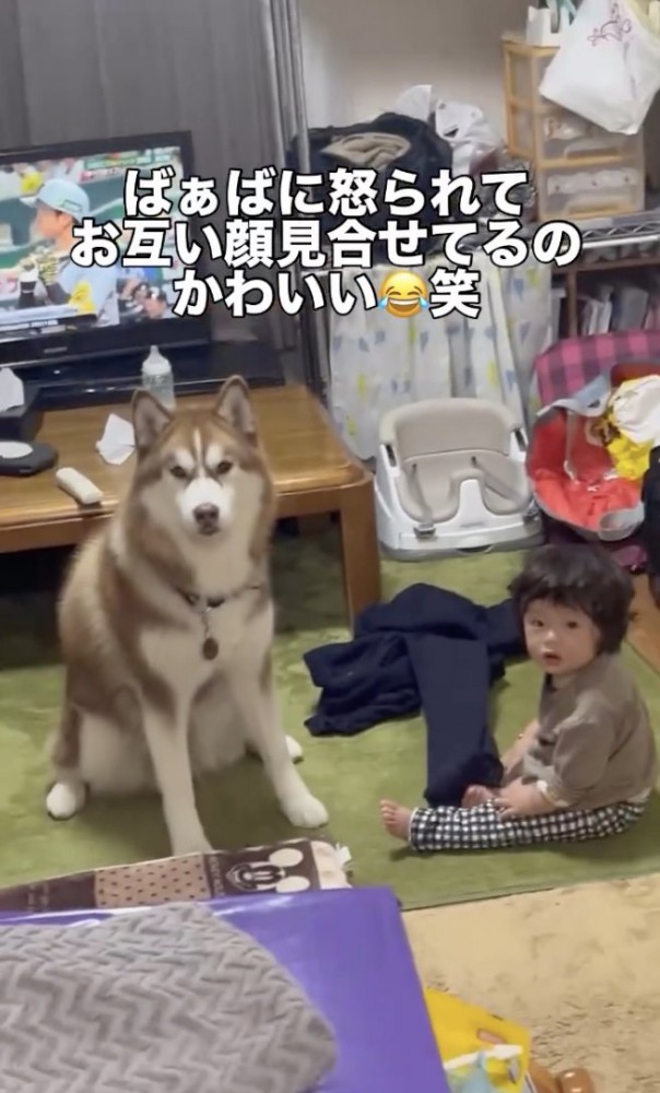 ちゃんと聞いてます