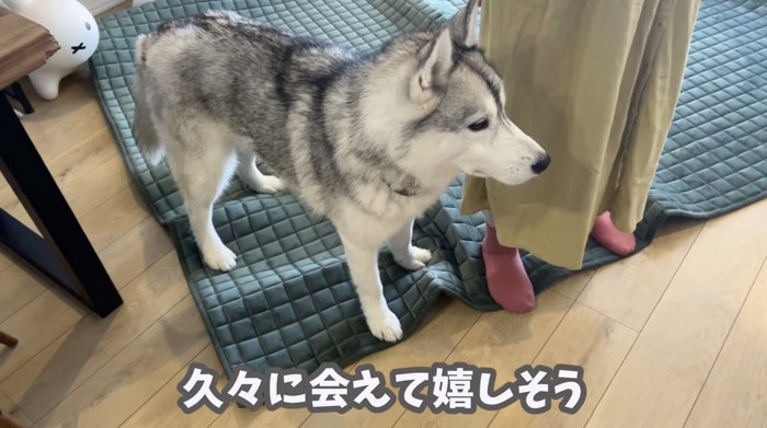 やっとママと再会