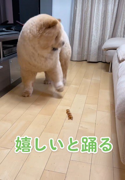 堅いおやつをもらうと…