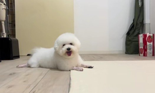 誰とも被らない！！