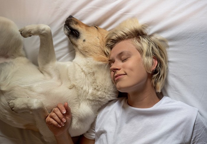 へそ天で眠る犬