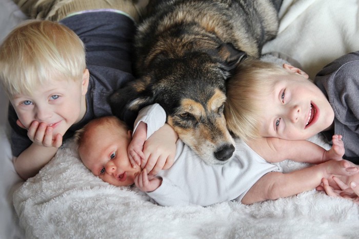 赤ちゃんと犬と兄弟