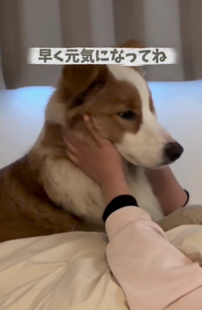 愛あふれる看病でした♡