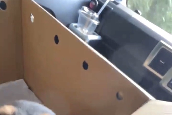 車内のダンボール箱