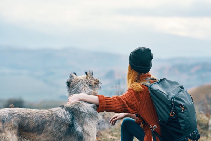 高い場所から景色を眺めている犬と女性の後ろ姿