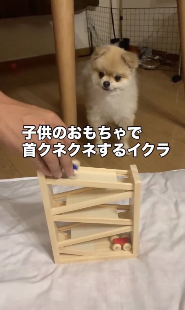 じーっ…