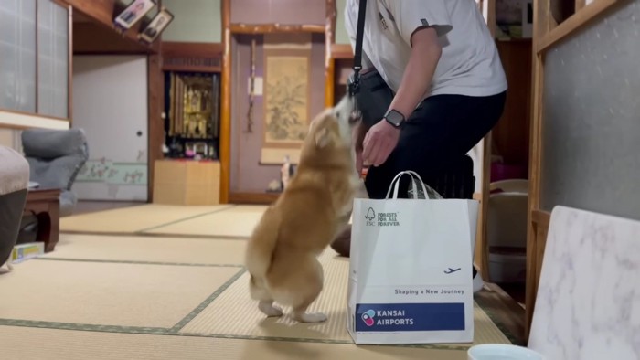 テンションが上がってしまった