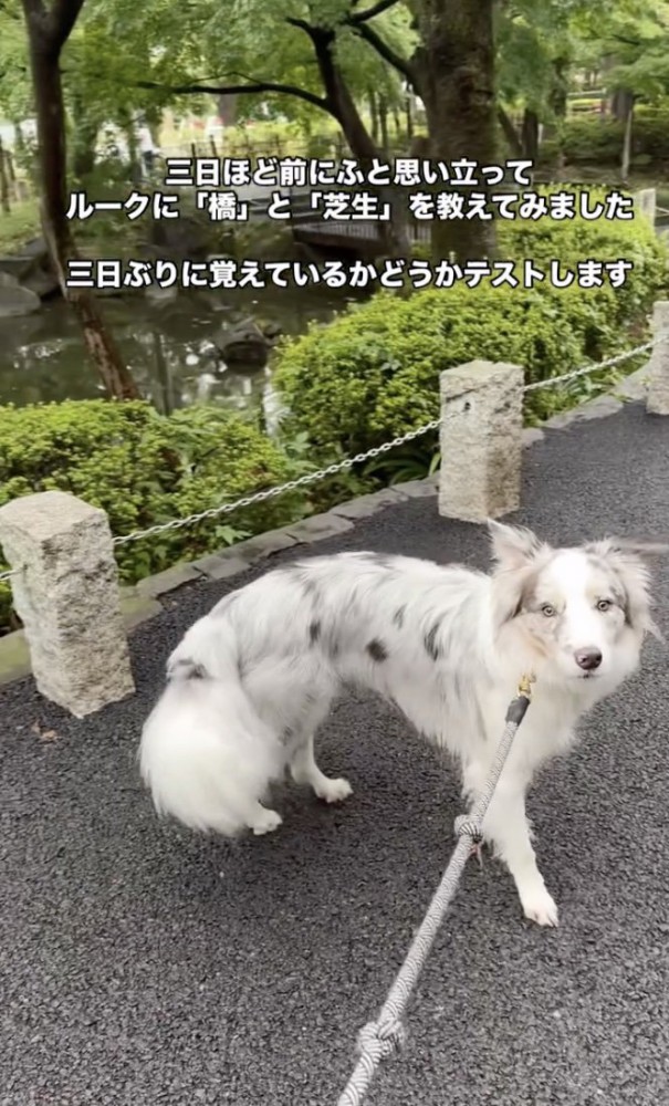 覚えているかな？