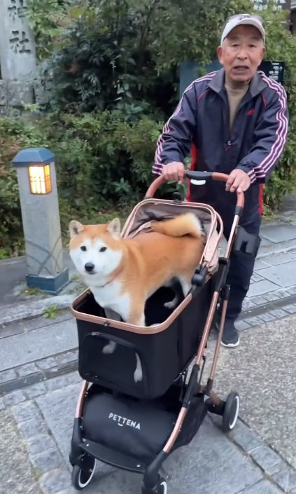 カメラ目線の富士くん