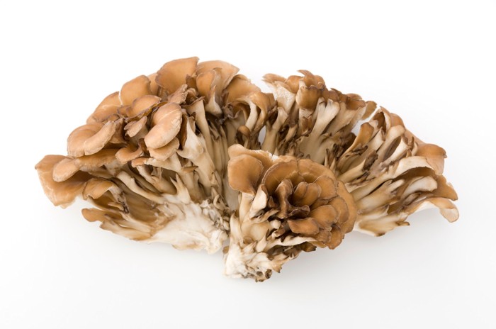 いくつかの房に分けて置かれた舞茸