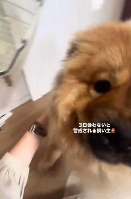 喜ぶうーちゃん