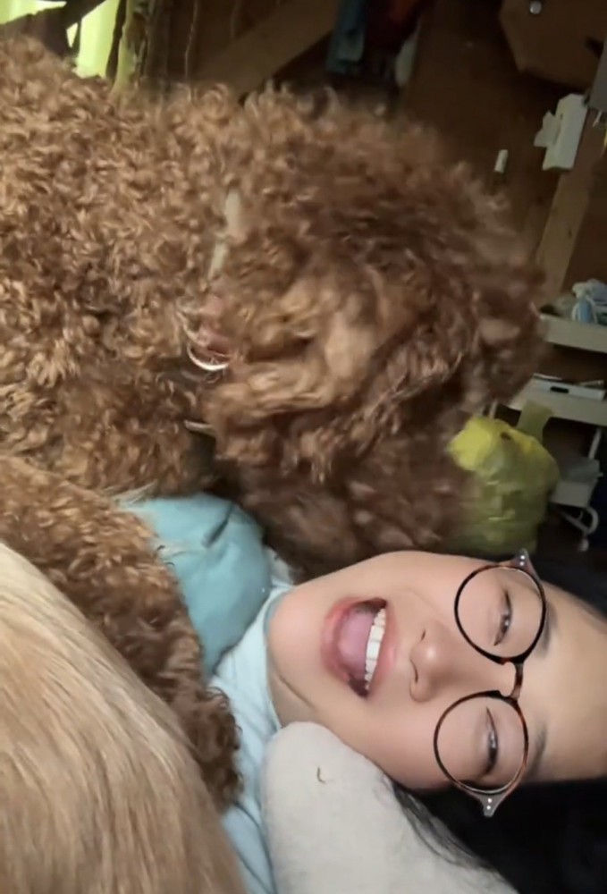 女性に顔を押しつける犬